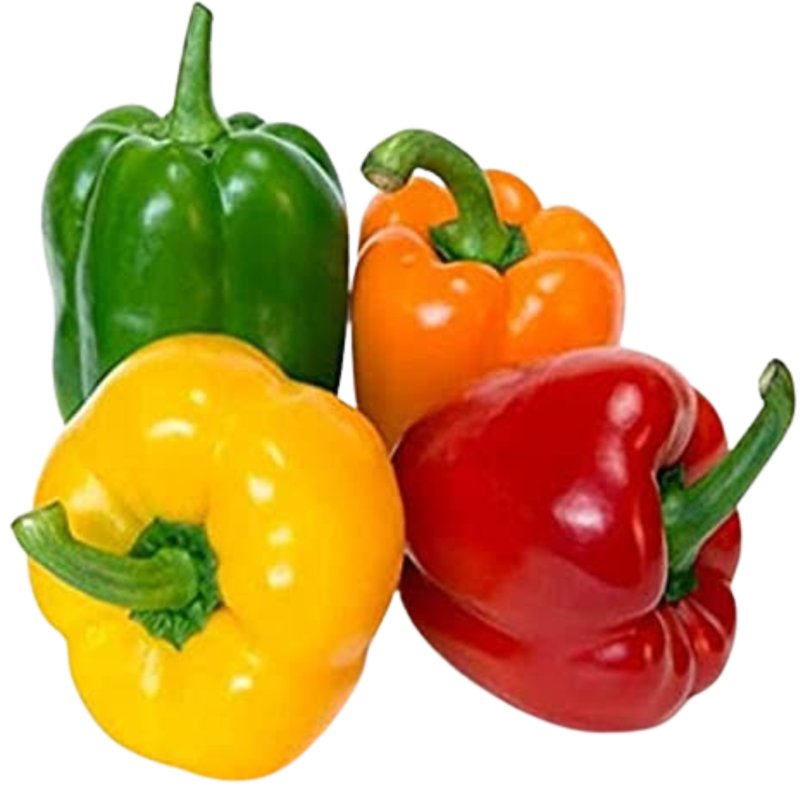 Color Capsicum