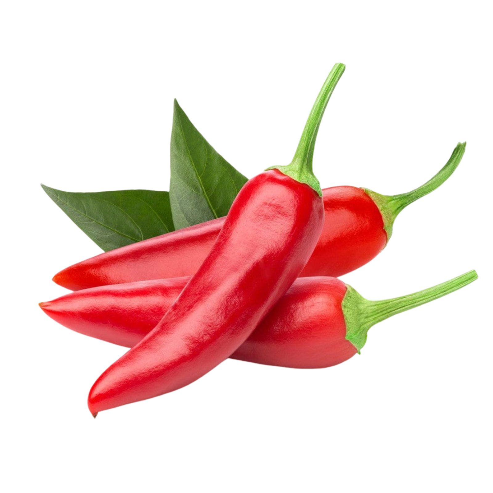 Red Chili Pepper